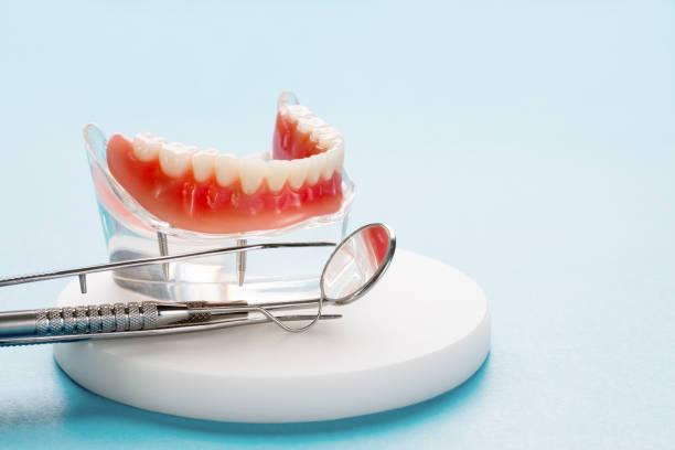 Best Pediatric Dentistry  in Shepherd, TX